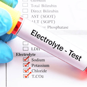 Electrolyte Panel