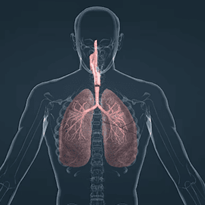 Respiratory