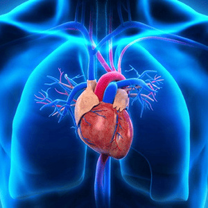 Cardiology