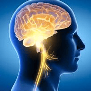 Neurology