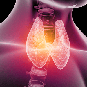 Endocrinology