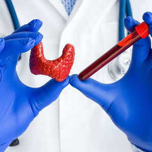 thyroid-function-test